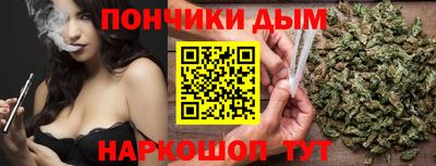 дмт Гай