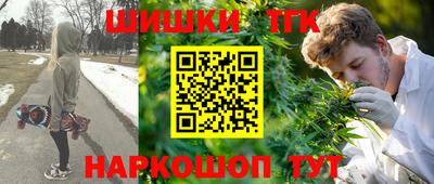 дмт Гай