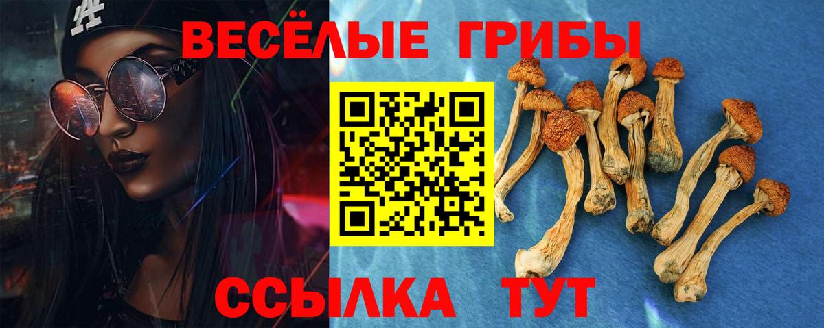 Галлюциногенные грибы GOLDEN TEACHER  Галлюциногенные грибы прущие грибы  Гудермес  Вход с VPN 
