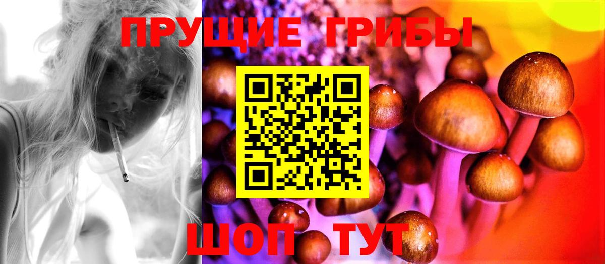 Псилоцибиновые грибы мицелий Гудермес